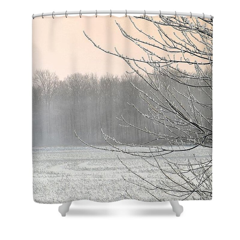 Mccombie Shower Curtain featuring the photograph Winter Woods #2 by J McCombie