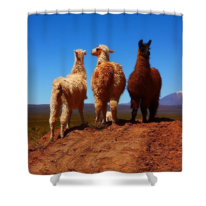 Argentina Shower Curtain featuring the photograph 3 Amigos by FireFlux Studios