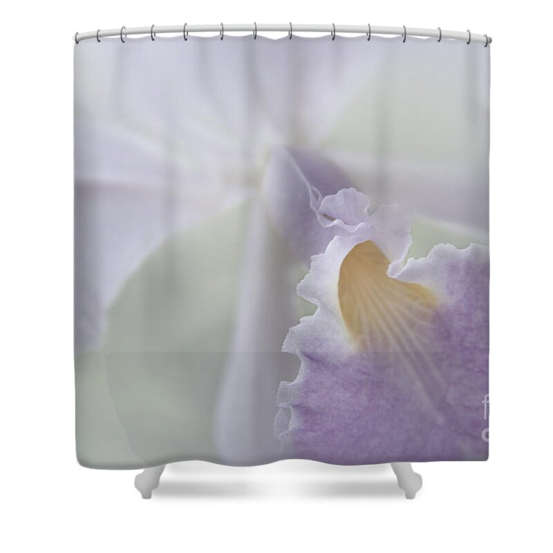 Aloha Shower Curtain featuring the photograph Beauty in a Whisper by Sharon Mau