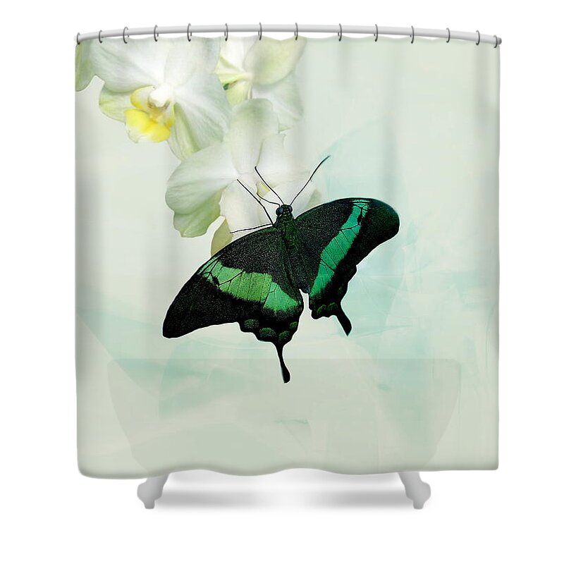 Butterfly Shower Curtain featuring the photograph Butterfly #3 by Heike Hultsch