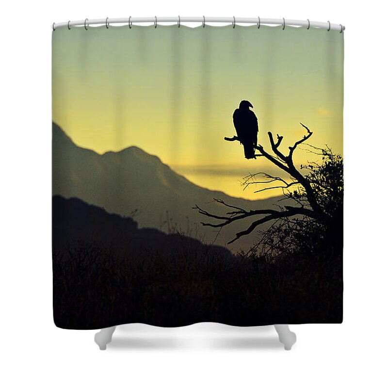Sunrise Shower Curtain featuring the photograph By Dawn's Early Light #4 by Saija Lehtonen
