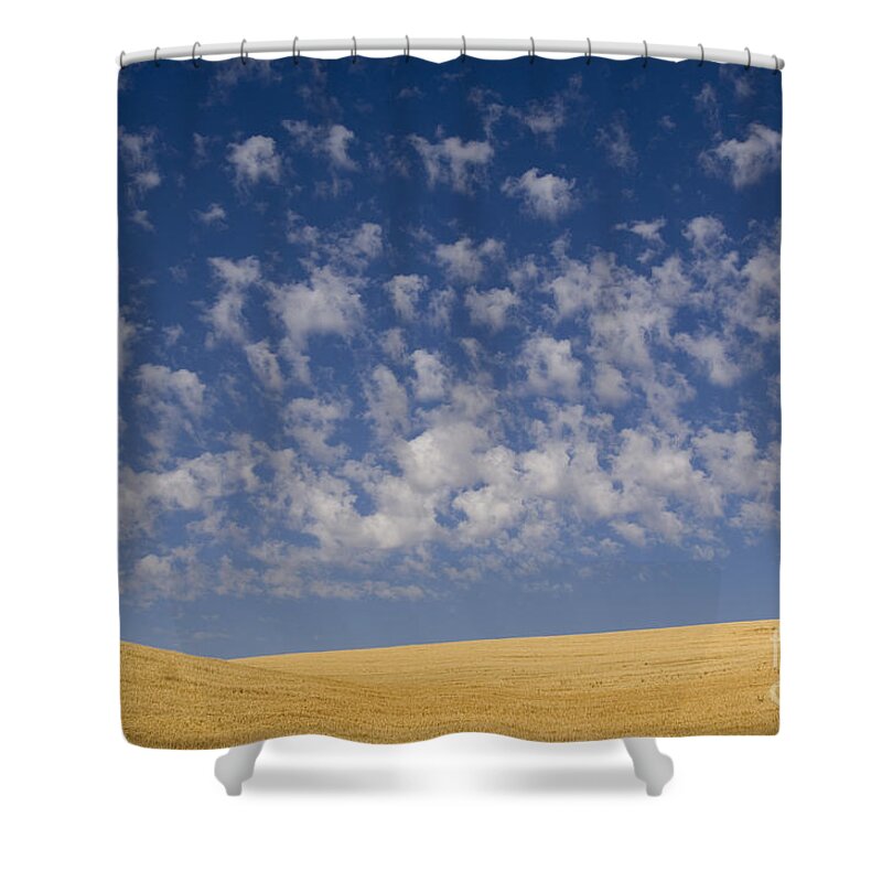 Clouds Shower Curtain featuring the photograph Clouds And Field #4 by John Shaw