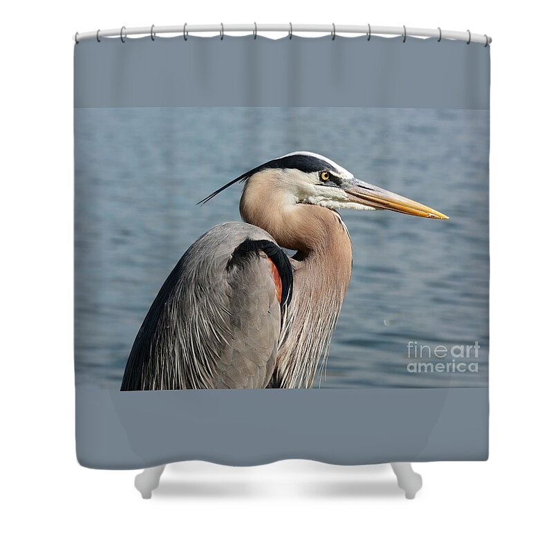 Heron Shower Curtain featuring the photograph Great Blue Heron Profile by Carol Groenen