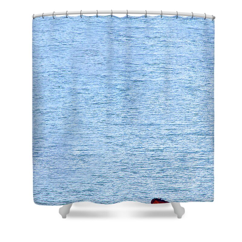 Water's Edge Shower Curtain featuring the photograph Icelandic Pony #3 by Grant Faint