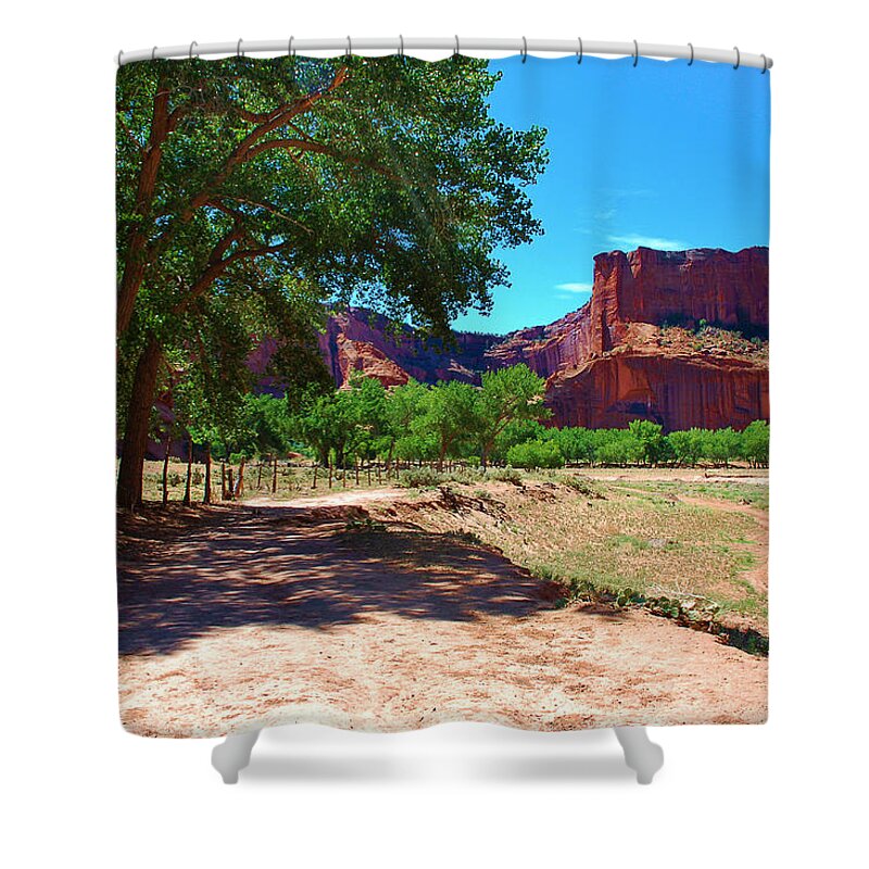 Rock Shower Curtain featuring the photograph Inside the Canyon #3 by Dany Lison