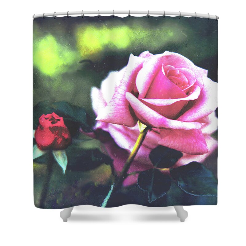 Pink Rose Shower Curtain featuring the digital art Rose #1 by Lizi Beard-Ward