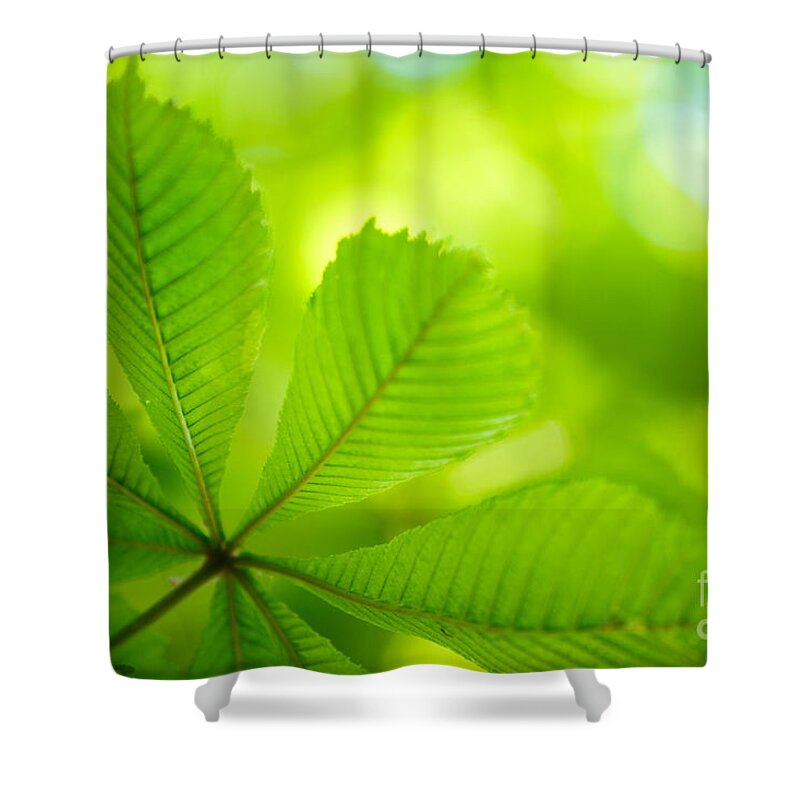 Conker Shower Curtain featuring the photograph Spring Green by Nailia Schwarz