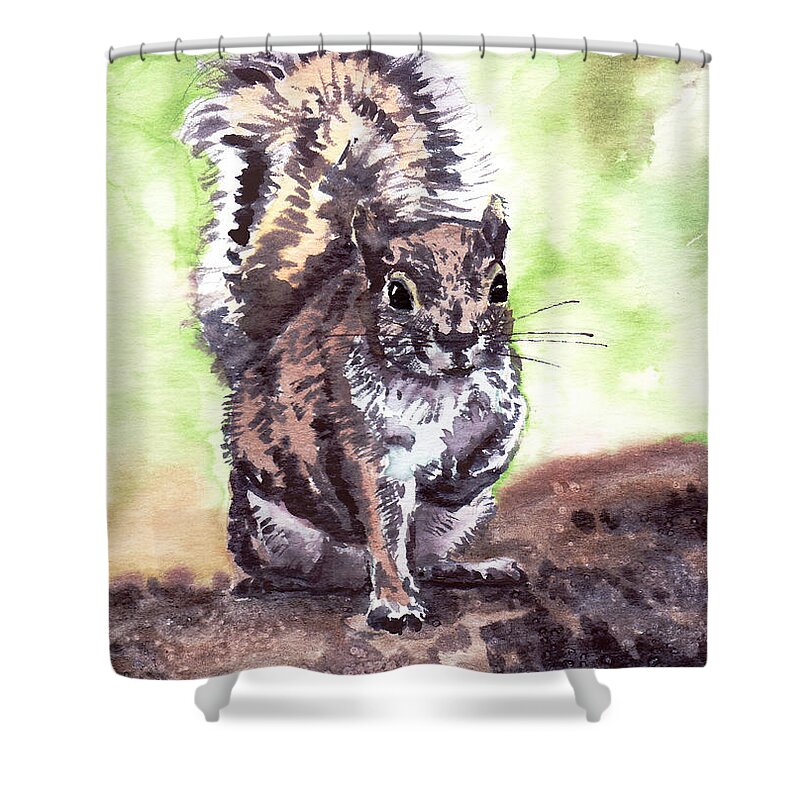 Squirrel Shower Curtain featuring the painting Squirrel by Masha Batkova