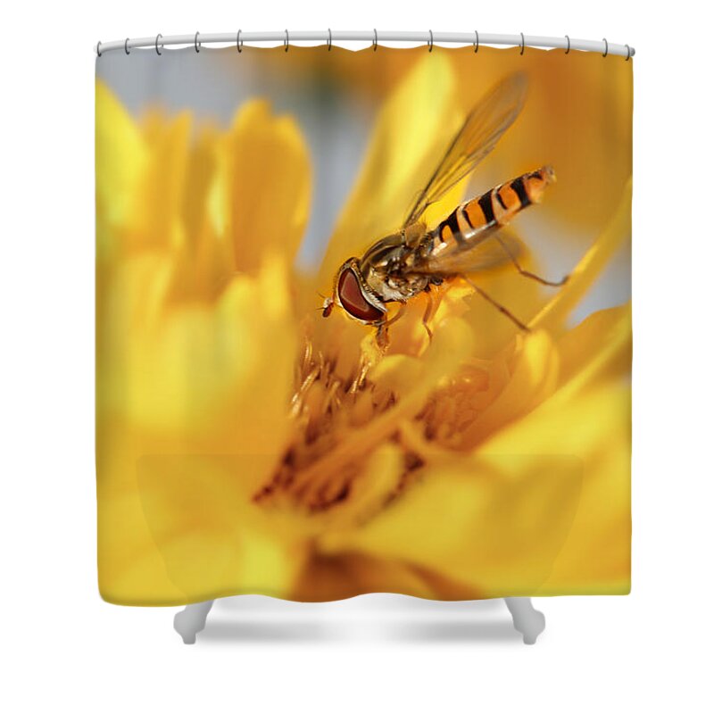 Flower Shower Curtain featuring the photograph Summerday #3 by Heike Hultsch