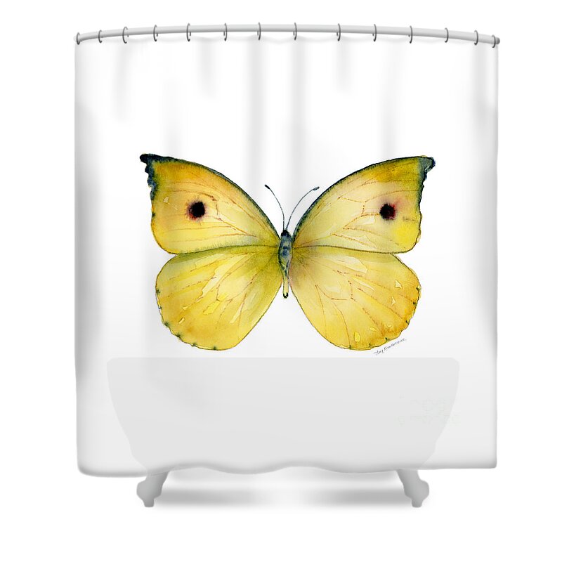 Dercas Shower Curtain featuring the painting 32 Dercas Lycorias Butterfly by Amy Kirkpatrick