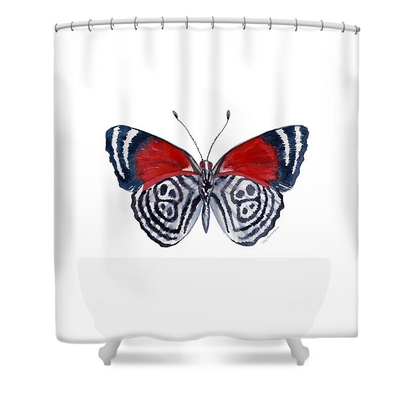 Diathria Shower Curtain featuring the painting 37 Diathria Clymena Butterfly by Amy Kirkpatrick