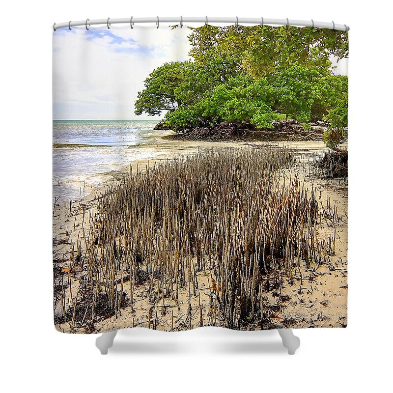 Florida Shower Curtain featuring the photograph Anne's Beach-2 by Rudy Umans