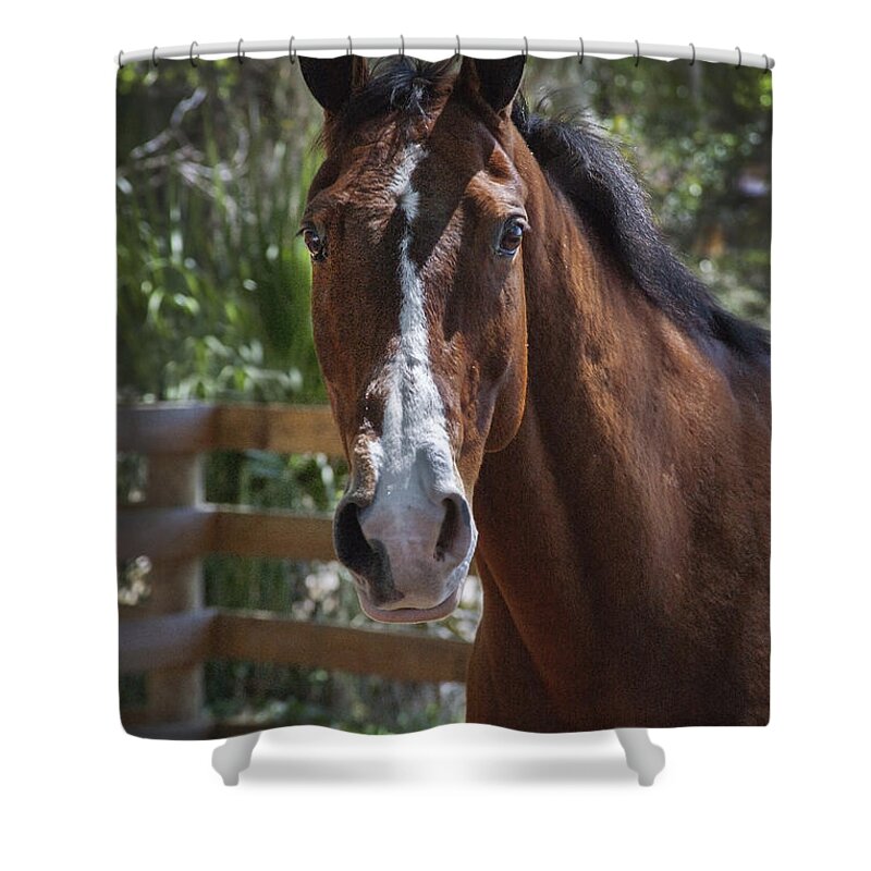  Shower Curtain featuring the photograph Ashmore Farms #4 by Rich Franco