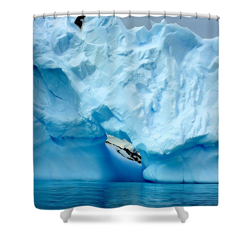 Icebergs Shower Curtain featuring the photograph Blue Iceberg #4 by Amanda Stadther