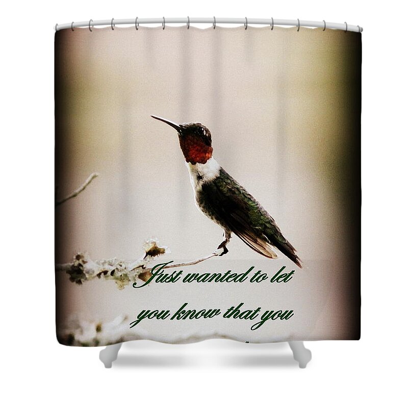 Hummingbird Shower Curtain featuring the photograph Hummingbird - Card #2 by Travis Truelove