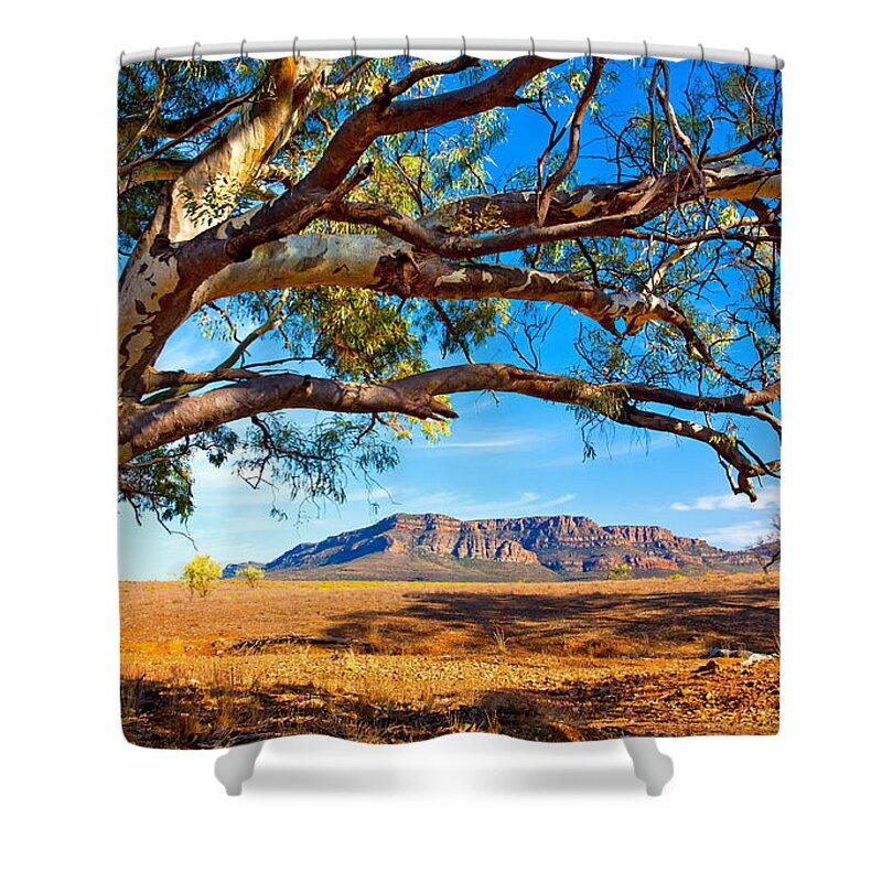 Wilpena Pound Flinders Ranges South Australia Outback Landscape Shower Curtain featuring the photograph Wilpena Pound by Bill Robinson