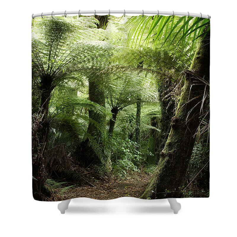 Forest Shower Curtain featuring the photograph Jungle 2 by Les Cunliffe
