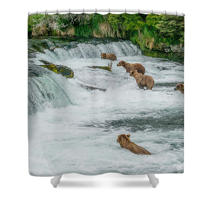 Alaska Shower Curtain featuring the photograph 5 Grizzlies by Joan Wallner