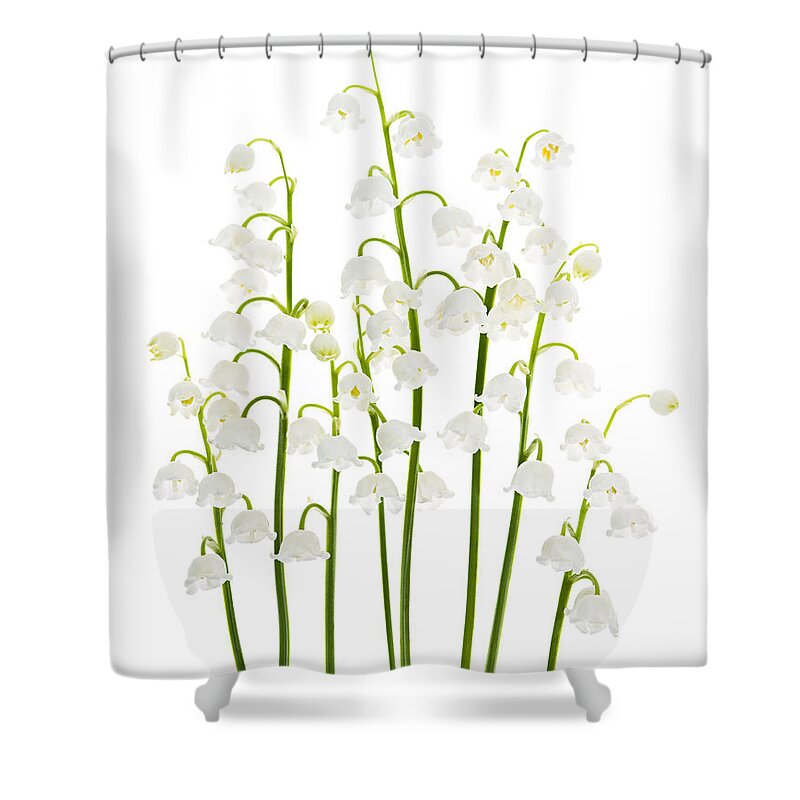 Flower Shower Curtain featuring the photograph Lily-of-the-valley flowers arrangement by Elena Elisseeva