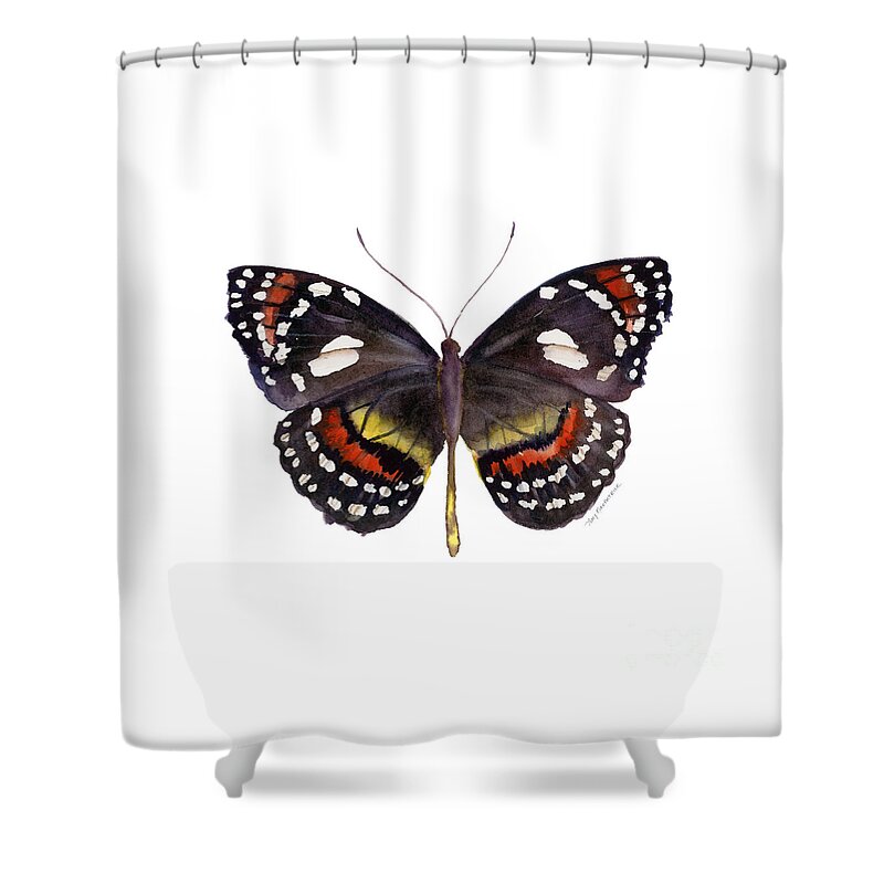 Elzunia Bonplandii Butterfly Shower Curtain featuring the painting 50 Elzunia Bonplandii Butterfly by Amy Kirkpatrick