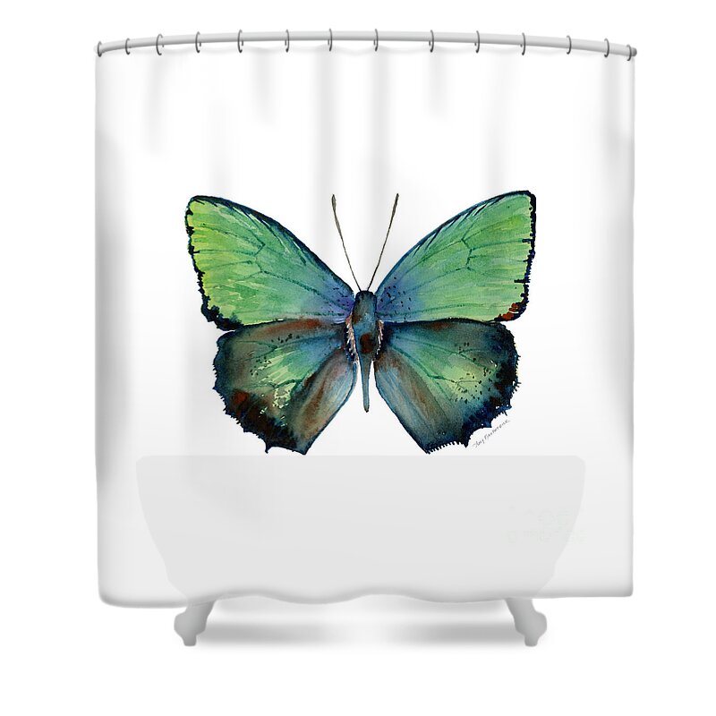 Arhopala Shower Curtain featuring the painting 52 Arhopala Aurea Butterfly by Amy Kirkpatrick