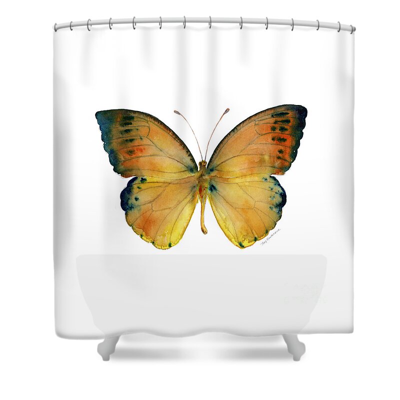 Leucippe Shower Curtain featuring the painting 53 Leucippe Detanii Butterfly by Amy Kirkpatrick
