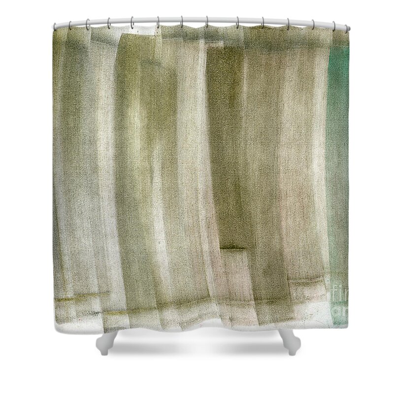  Shower Curtain featuring the pastel Untitled #561 by Taylor Webb
