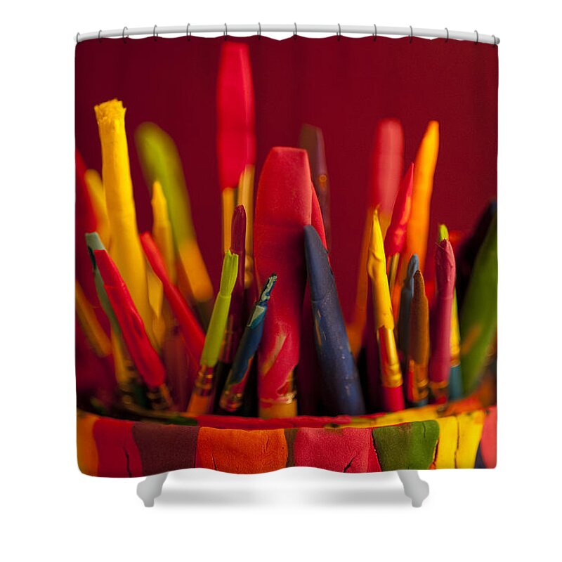 Art Shower Curtain featuring the photograph Multi colored paint brushes #6 by Jim Corwin