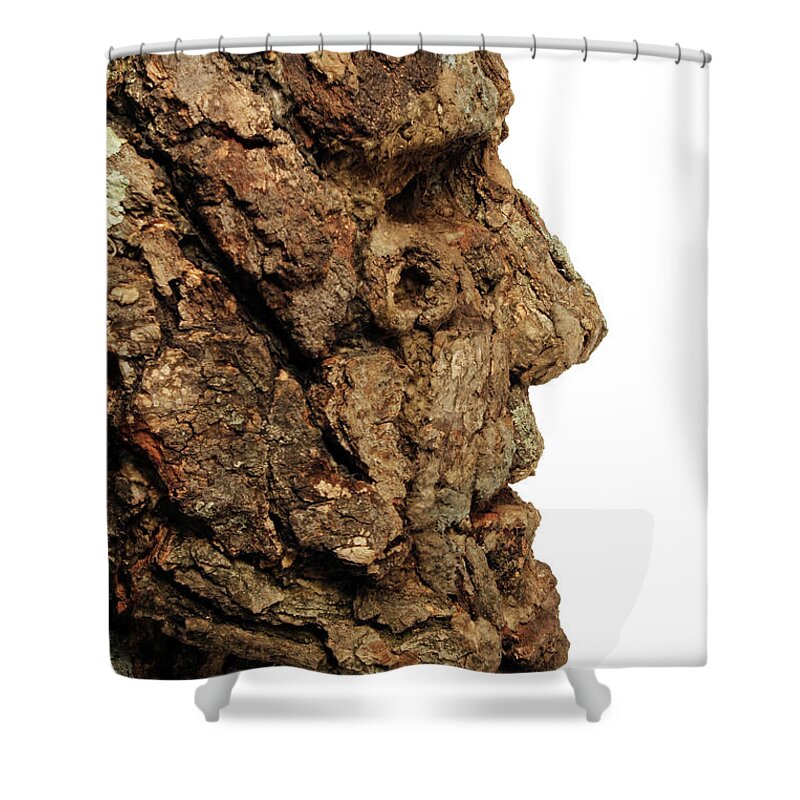 Art Shower Curtain featuring the mixed media Revered  A natural portrait bust sculpture by Adam Long #7 by Adam Long