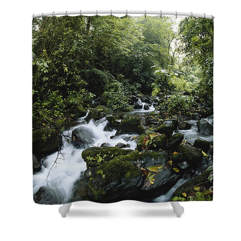 Cloud Forest Shower Curtain featuring the photograph Cloud Forest, Costa Rica #7 by Gregory G. Dimijian, M.D.