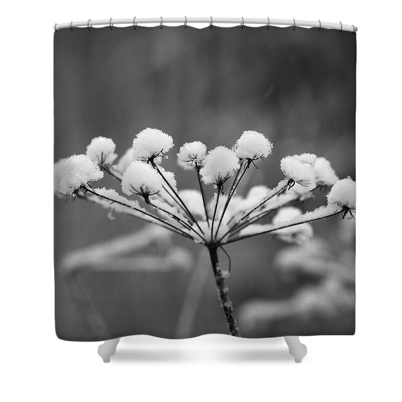 Nokia Shower Curtain featuring the photograph Winter flowers black and white by Jouko Lehto
