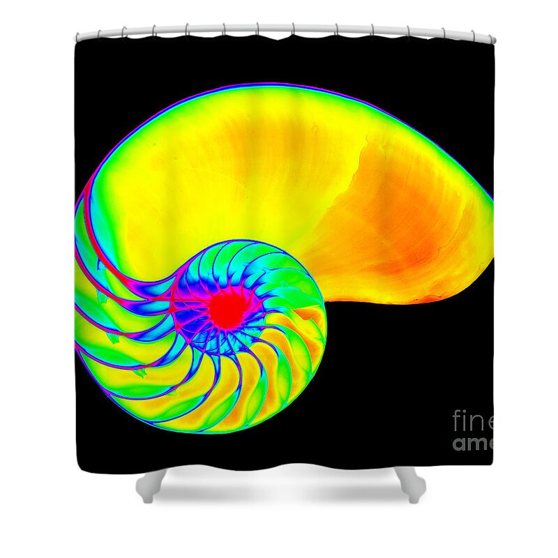 Radiograph Shower Curtain featuring the photograph X-ray Of Nautilus #7 by Bert Myers