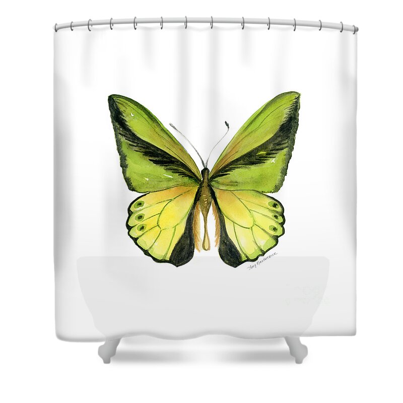 Goliath Butterfly Shower Curtain featuring the painting 8 Goliath Birdwing Butterfly by Amy Kirkpatrick