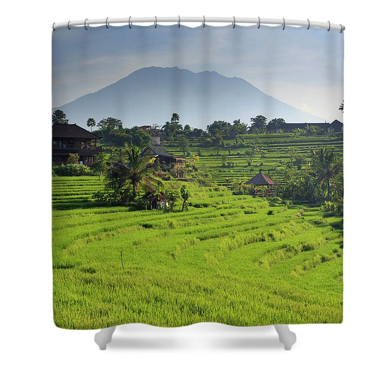 Scenics Shower Curtain featuring the photograph Indonesia, Bali, Rice Fields And #8 by Michele Falzone