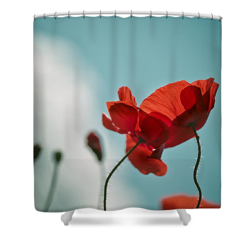 Poppy Shower Curtain featuring the photograph Poppy Meadow #8 by Nailia Schwarz