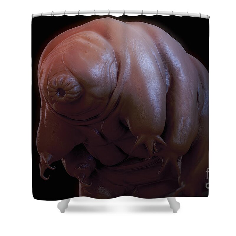 Protostomia Shower Curtain featuring the photograph Water Bear Tardigrades #8 by Science Picture Co