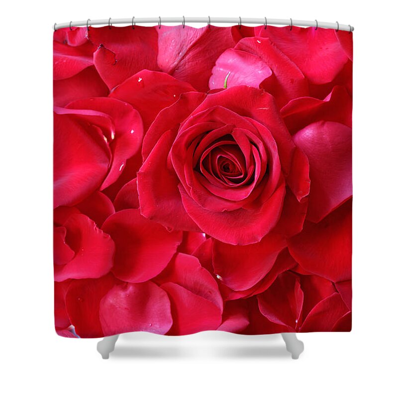 Background Shower Curtain featuring the photograph Roses #9 by Peter Lakomy