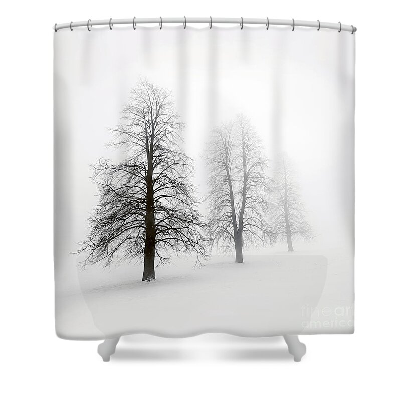 Trees Shower Curtain featuring the photograph Winter trees in fog 1 by Elena Elisseeva