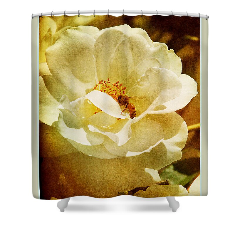Garden Shower Curtain featuring the photograph A Bee and Rose by Linda Olsen