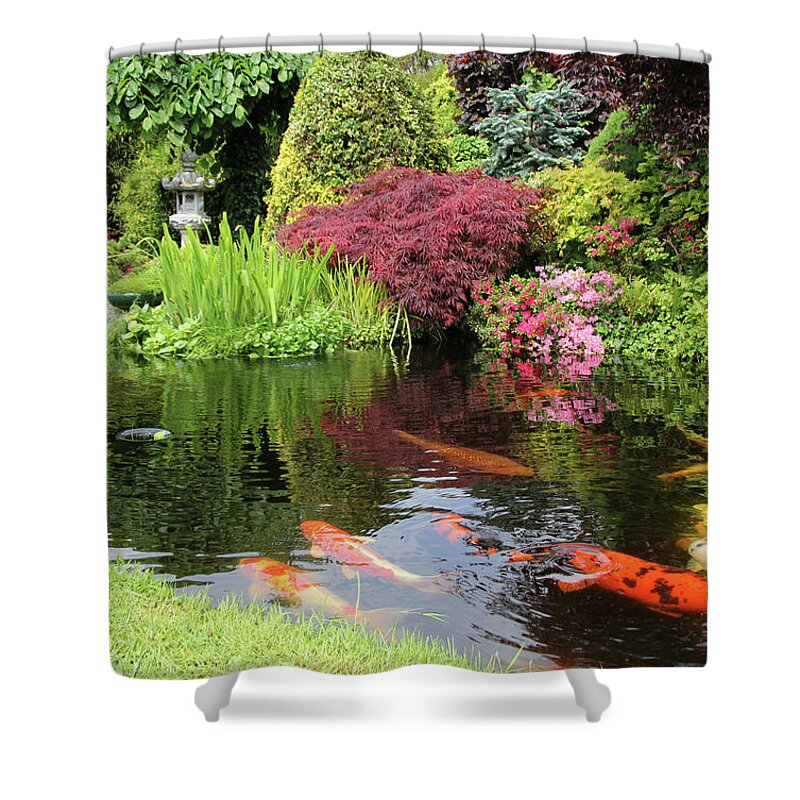 A Big Koi Pong With Orange Fish And Shower Curtain by Basieb