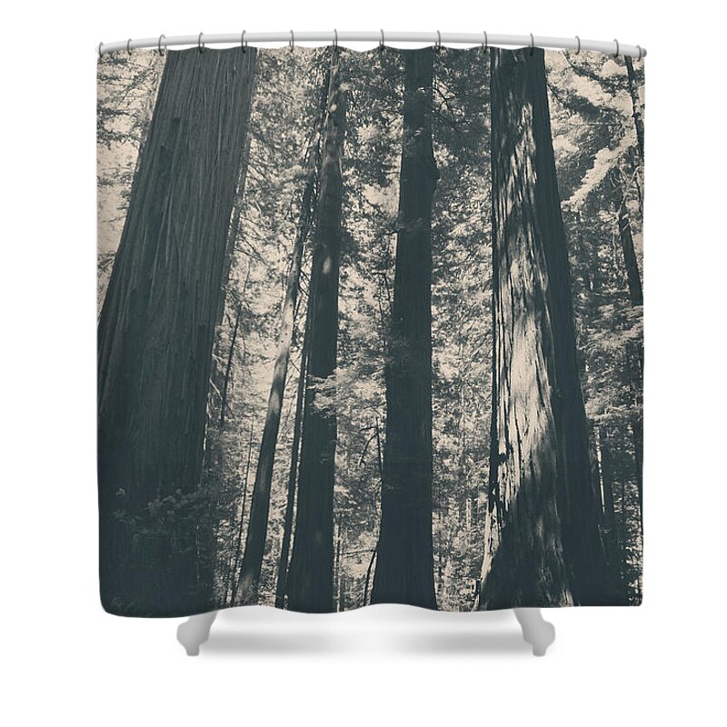 Northern California Shower Curtains