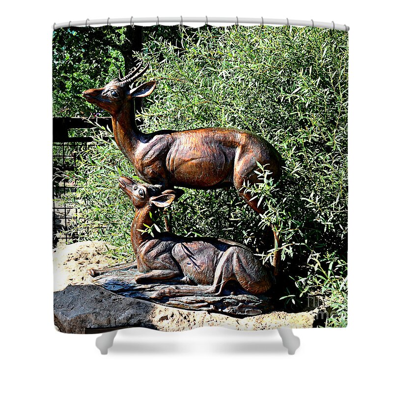 Stand Shower Curtain featuring the photograph A Buck and His Doe by Luther Fine Art