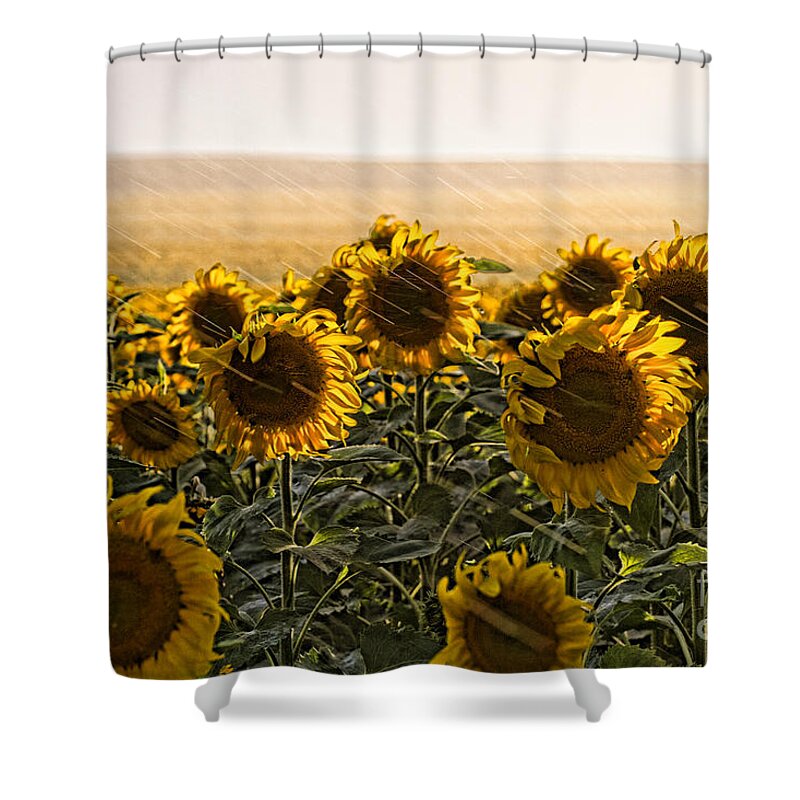 Flowers Shower Curtain featuring the photograph A Chance of Showers by Jim Garrison