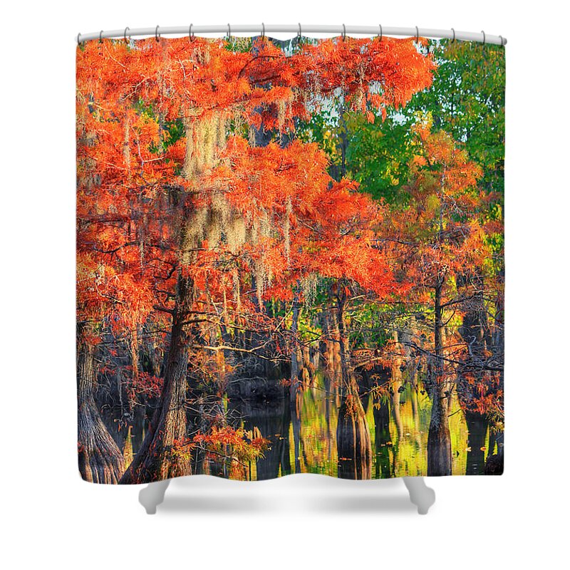Autumn Shower Curtain featuring the photograph A Change of Colors by Ester McGuire