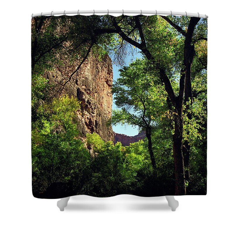 Havasupai Shower Curtain featuring the photograph A Cool Path by Kathy McClure