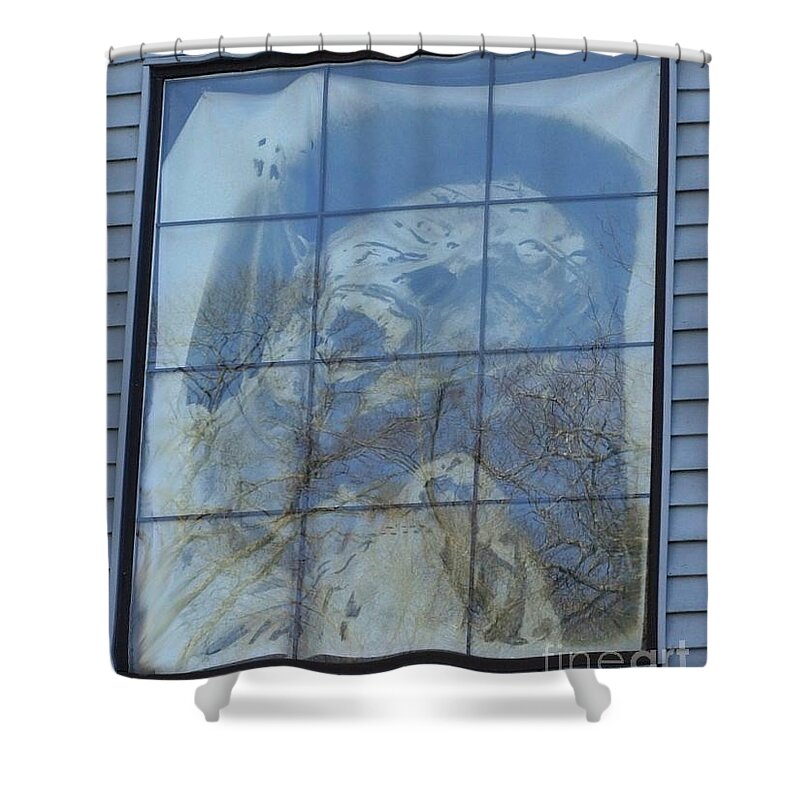 Window Shower Curtain featuring the photograph A Cry For Help by Living Color Photography Lorraine Lynch