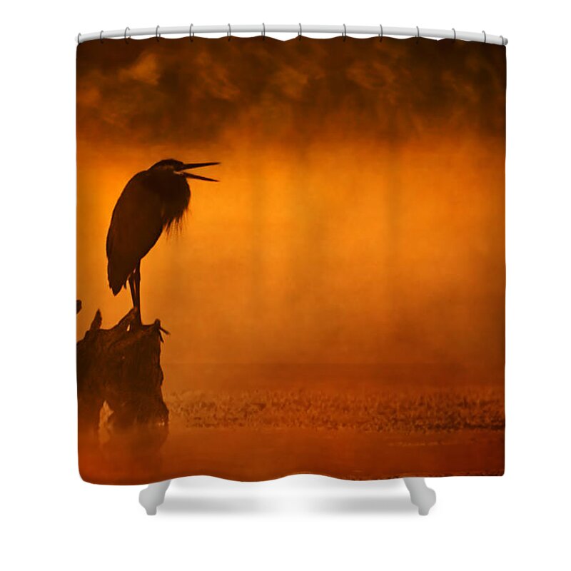 2007 Shower Curtain featuring the photograph A Cry in the Mist by Robert Charity