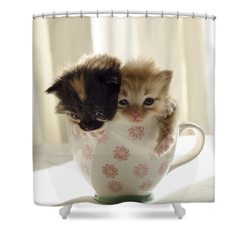 Cute Shower Curtain featuring the photograph A cup of cuteness by Spikey Mouse Photography