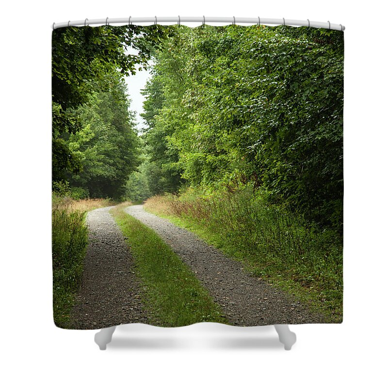 Grass Shower Curtain featuring the photograph A Dirt Road Leading Out Of A Forest In by Jake Wyman