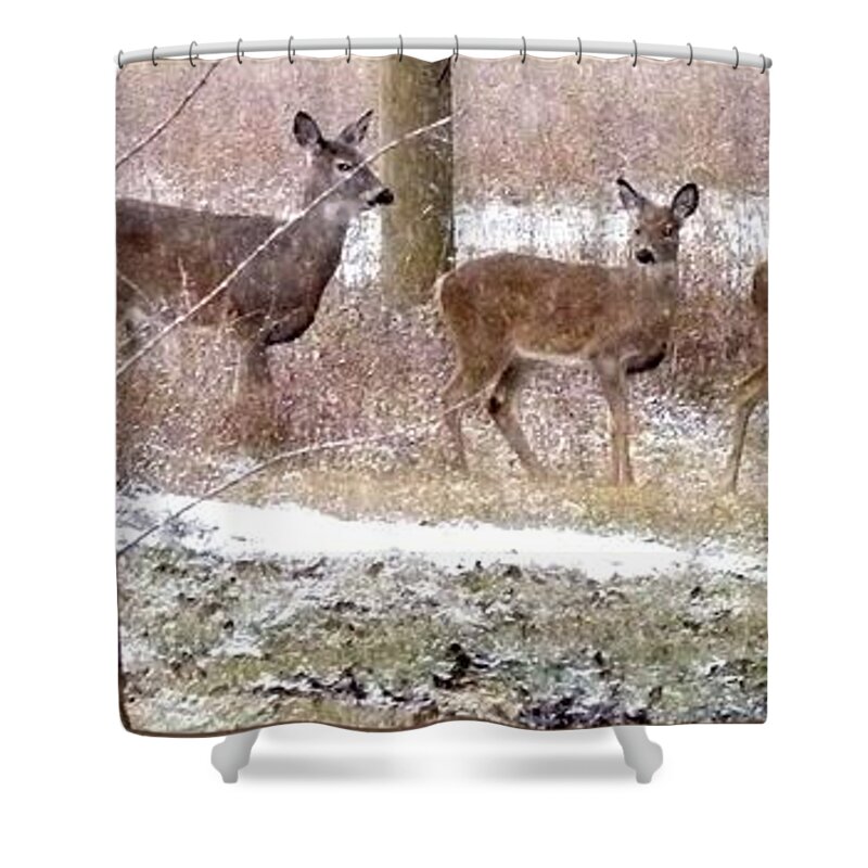 A Dusting On The Deer Shower Curtain featuring the photograph A Dusting On The Deer by Will Borden